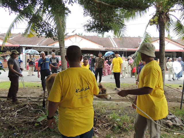 raya korban taman kiara