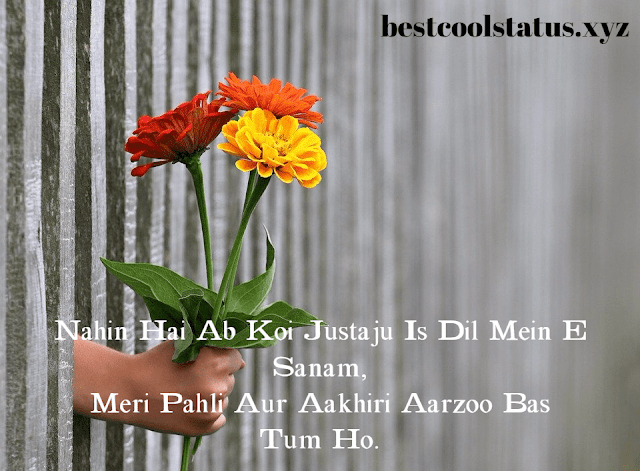 Latest Shayari For Love, True Love Status & Quotes, Love Images