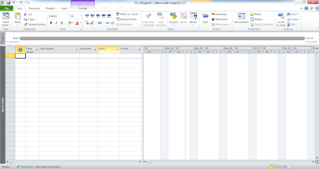 MS Project Initial View 