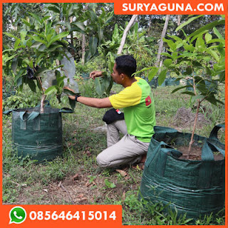 planter bag SURYAGUNA. kwalitas bagus 085646415014