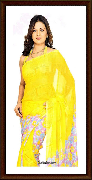 Beautiful Indian Cotton summer Sarees