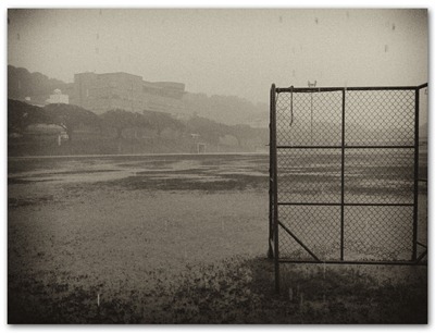 rainfield