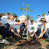 Mérida con más árboles, un compromiso compartido