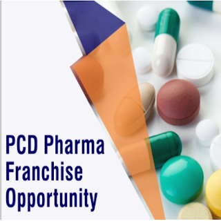 What are the Benefits of Taking PCD Pharma Franchise?