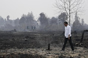 Jokowi Wanti-wanti Kebakaran Hutan Jelang Musim Kemarau