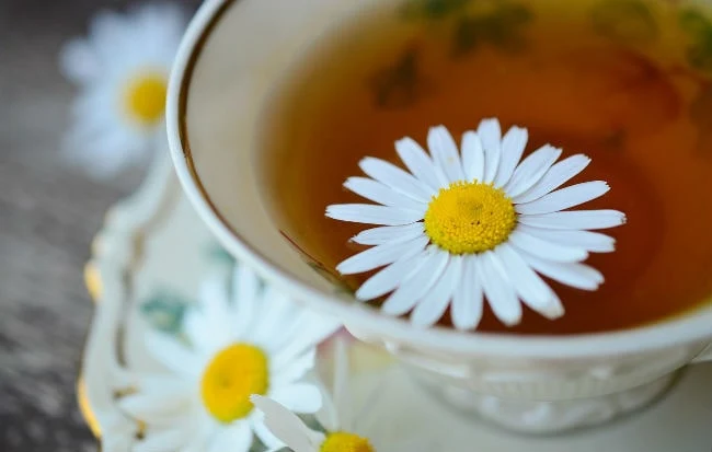 Fiori di camomilla in una tazza di tisana