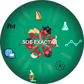 S.O.E Exactas 2021