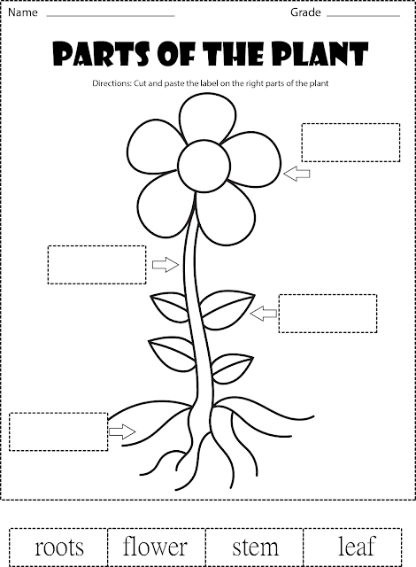 Parts of the plant- black and white