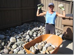 Hauling rocks 1