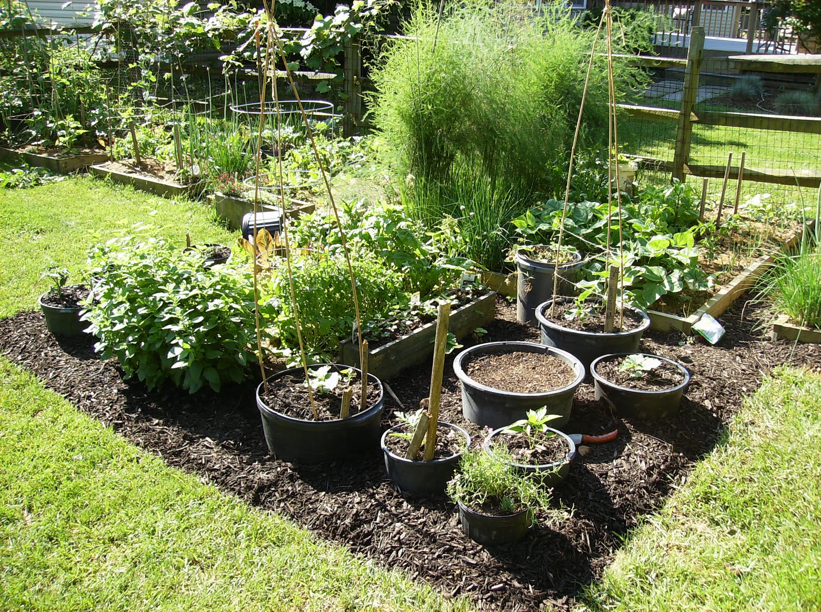 Rusted Vegetable Garden