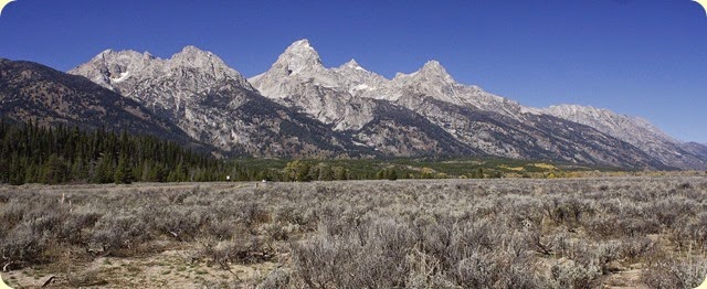 _MG_1039