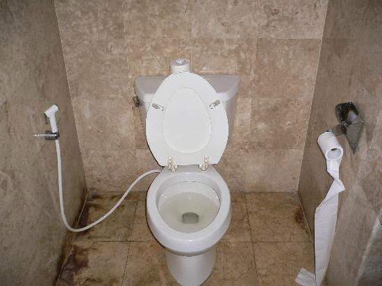 5 Bahaya Penggunaan Toilet Duduk Ajaib dan Aneh