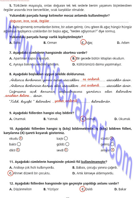 7. Sınıf Ezde Yayınları Türkçe Çalışma Kitabı Cevapları Sayfa 33