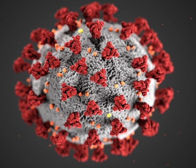 Medical Animation Corona Virus