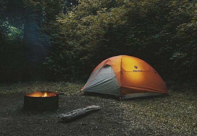 Panduan Camping Aman dari Hewan Melata dan Hewan Buas