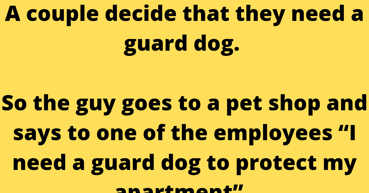 A couple decide that they need a guard dog.     So the guy goes to a pet shop and says to one of the employees “I need a guard dog to protect my apartment”.