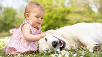 cuty-baby-in-light-pink-frock-with-her-dogy