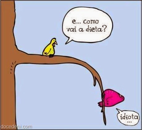 dieta