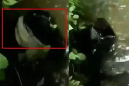 Heboh Video Mancing di Tempat Angker Disebut Dapat Kuntilanak, Begini Pandangan Netizen