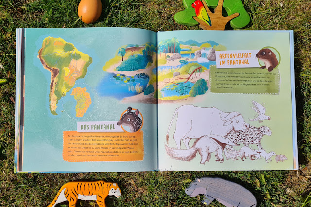 Die Papagei-Ei-Rettung: Blog-Aktion & Interview mit Illustratorin Lisa Rammensee. Das Bilderbuch ist zugleich ein Sachbuch für Kinder zu Wasserschweinen, dem Pantanal und bedrohten Tierarten.