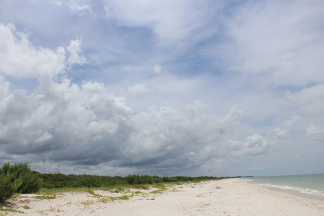 playa del puerto de celestún
