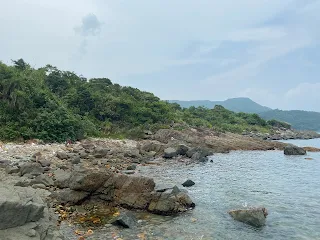 clear water bay