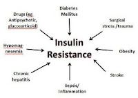 Understanding Insulin Resistance