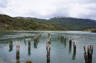Parc National Tierra del Fuego - Sentier de La Pataia - Ushuaia