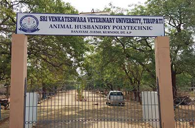 Tirupati SVVU Diploma Courses తిరుప‌తి ఎస్‌వీవీయూ డిప్లొమా కోర్సుల ప్రవేశాలు, ద‌ర‌ఖాస్తులకు జులై 22 చివరి తేదీ.
