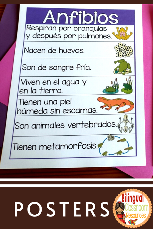 Hands-on science activities for centros de ciencias