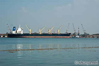 cochin harbour 1