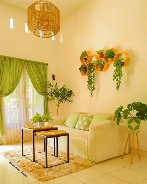 Curtain Color Suitable for Wall Cream