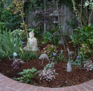 Our Small Backyard Garden.