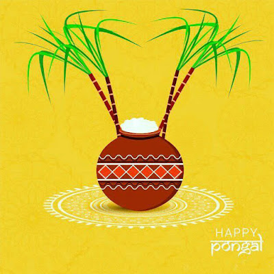 Pongal Greeting Images For 2020