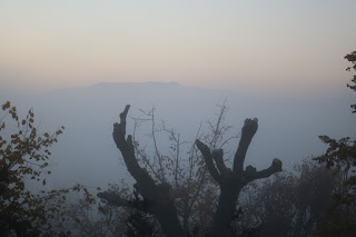 A foggy start to the day