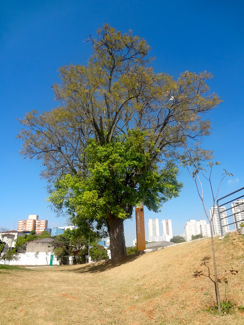 Parque Belém