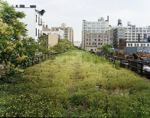 High Line Park - Newyork, Amazing Photos...