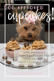 dog approved cupcake cake recipe birthday puppy doggie cat kitty food treat