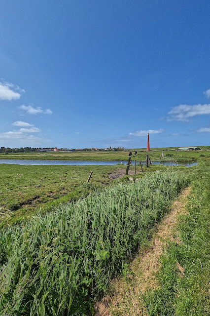 Polderland met de vuurtoren in de verte