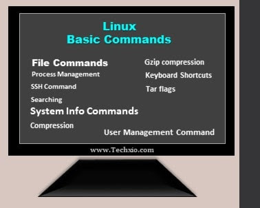 Linux Basic Commands