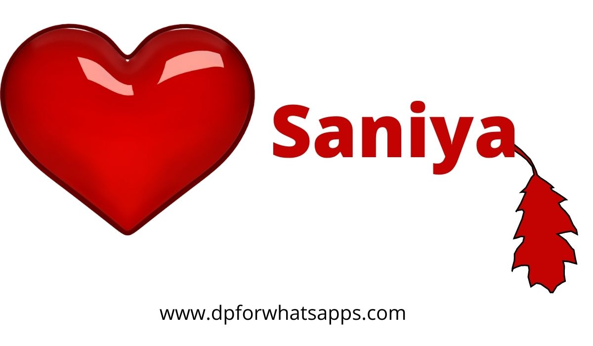 500+ saniya name dp | saniya name image | saniya name wallpaper | saniya name  photo 2022