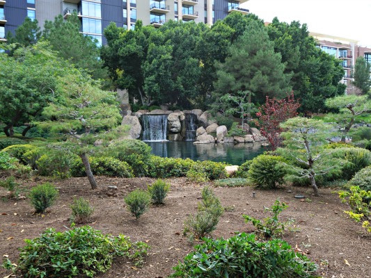 Japanese Friendship Garden of Phoenix