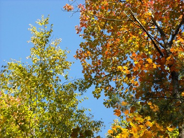 DSCN0243