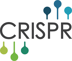 Τι πρέπει να γνωρίζετε για το CRISPR; ( Ellen Jorgensen) - bioethics education