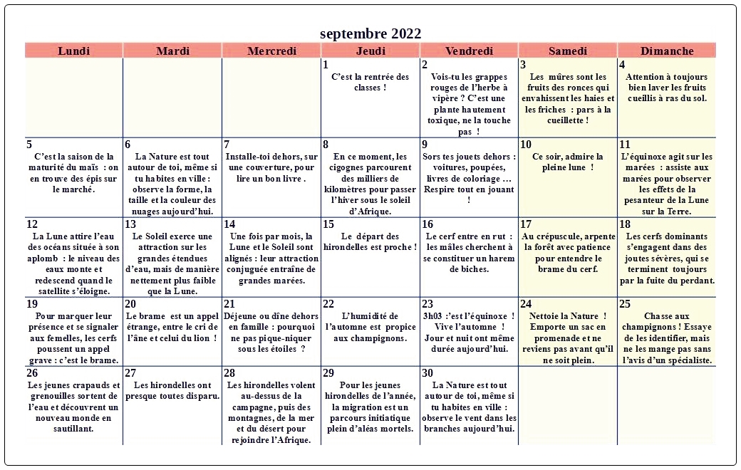 Nouveau : le calendrier de l'Avent Montessori - Papa positive !