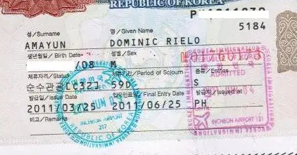 Reports REQUIRED FOR Korean Visa APPLICATION 