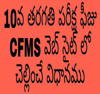 10th Class Examination Fees Payable on the CFMS website