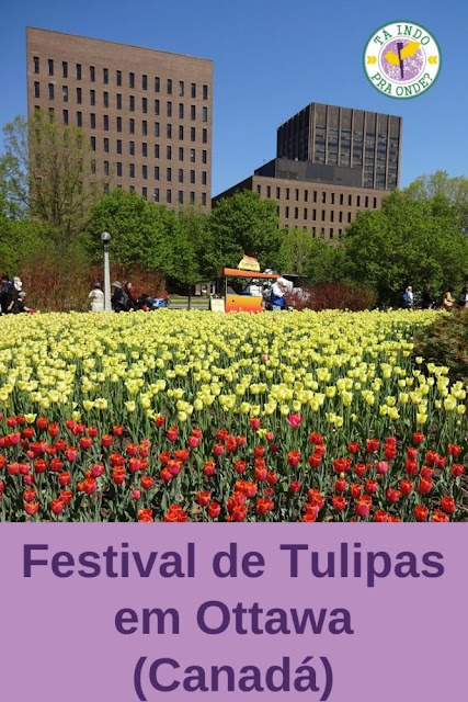 Festival de Tulipas em Ottawa (Canadá)!