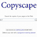 Think about the article and copyright protected by Copyscape article