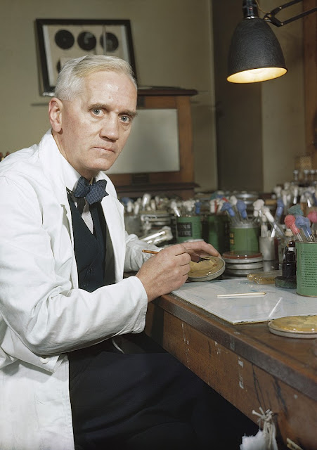 Alexander Fleming – Bác sĩ, Nhà sinh học, người mở ra kỷ nguyên sử dụng kháng sinh trong y học